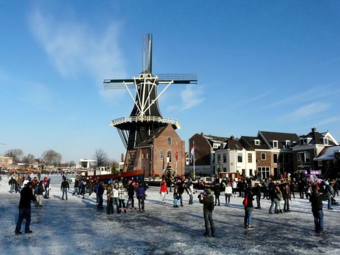 Feels Like Home Haarlem Eksteriør billede